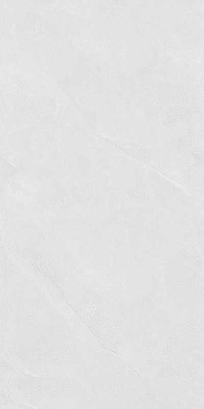 V519105