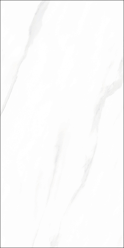 V519102