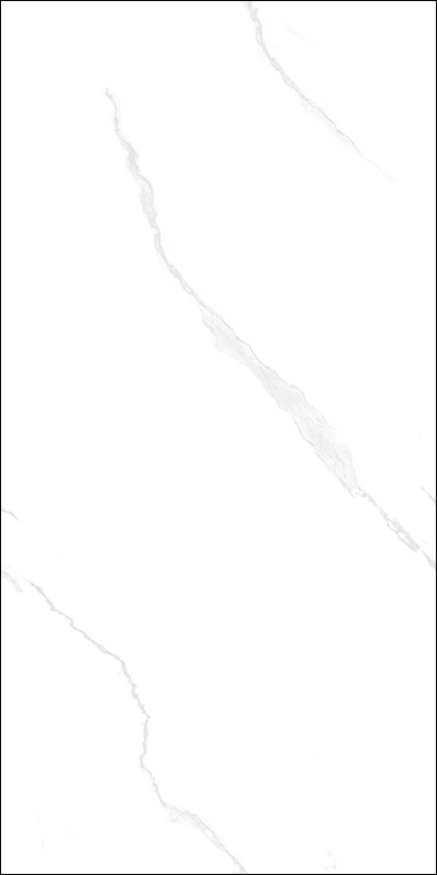 V519101