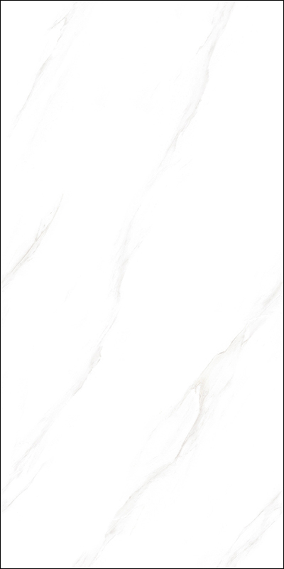 V619101